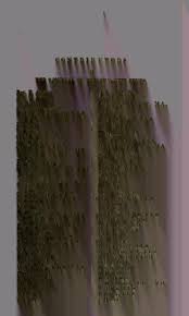 Image result for Basananthe apetala