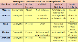 68 Clean The Five Kingdoms Classification Chart