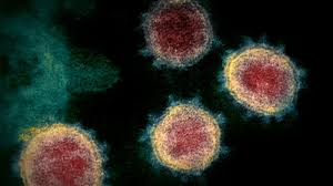 A new variant of coronavirus has been found which is growing faster in some parts of england, mps have been told. Covid 19 New Variant Leads To New Travel Restrictions In United Kingdom Virus Genetic Code Variations Of It Are Expected Experts Say Abc7 Chicago
