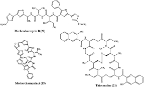 Image result for Vepris bachmannii