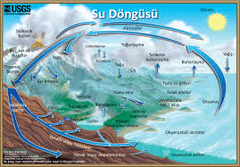 Su Dongusu The Water Cycle Turkish