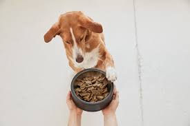 The food and drug administration (fda) is recalling additional of brands. Sportmix Pet Food Recall Over 100 Dogs Die After Eating The Pet Food