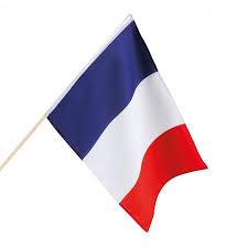 Stockfotos und lizenzfreie bilder thema frankreich flagge. Fahne Frankreich Mit Stab 30 X 45 Cm Gunstig Kaufen Bei Partydeko De