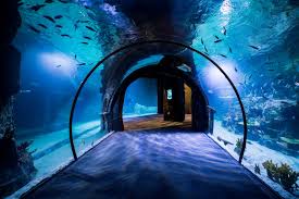 Funtastic Aquarium Izmir Acildi