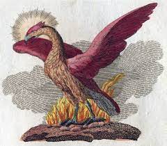 The legendary phoenix is a large, grand bird, much like an eagle or peacock. Phoenix Mythology Wikipedia