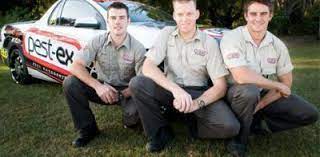 566 просмотров 10 месяцев назад. Pest Ex Ex O Pest Jamaica Pest Control We Have Used Integrated Pest Management Ipm Programs For More Than 25 Years And We Can Tell You With Confidence That They Work Kilkachwilblog