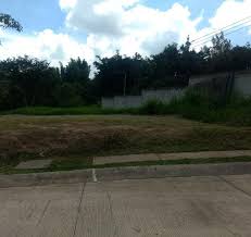 Terreno En Venta En Carretera Federal Xalapa Veracruz Jalcomulco Veracruz 1 600 000 Tev236614 Bienesonline