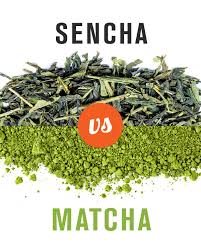 Pin On Matcha Health Benefits