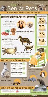 Pin On Pet Care Tips Caring For The Creatures