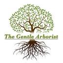 THE GENTLE ARBORIST - Updated April 2024 - 500 40th Ave N ...