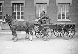 Horse and Buggy: The Primary Means of ...