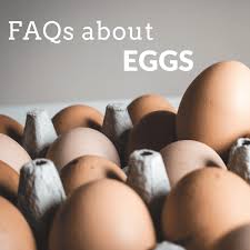 Nutritionally, says cobey, fertilized and unfertilized eggs are the same. Everything You Ever Wanted To Know About Chicken Eggs Delishably