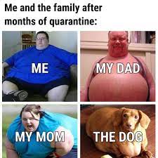 Pin On Hilarious Memes