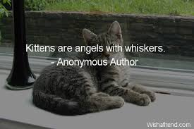 Love all, trust a few. Anonymous Author Quote Kittens Are Angels With Whiskers