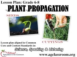 Lesson Plan And Lab Activities To Teach Students How To Propagate Plants From Seeds And Cuttings Propagating Plants Farm Lessons Agricultural Science