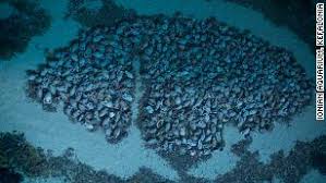 A Ship Was Believed To Have Vanished In The Bermuda Triangle Scientists Found It After Almost 95 Years Cnn