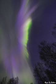 Auroras Fairbanks Alaska Northern Lights Beautiful Sky Aurora Borealis