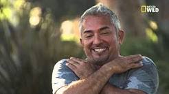 The pet parent's number one resource for dog training and dog owner advice by world renowned dog behaviorist cesar millan. Cesar Millan Youtube