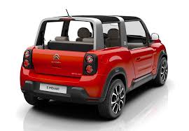 Image result for Brown Squirrel 2014 Peugeot