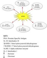 Image result for Buchholzia