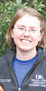 Double Destruction -- Woman's Home Once More A Target