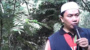 Pokok tongkat ali secara semulajadi dihutan lazimnya lambat membesar berbanding dengan pokok tongkat ali yang ditanam dibawah kebun kelapa sawit kerana berlaku proses penjagaan dan pembajaan. Pokok Tongkat Ali By Musirwan Mamat