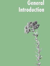 Image result for Helichrysum harveyanum