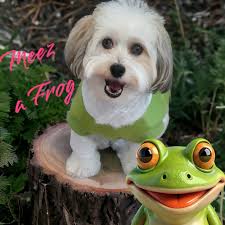 🤔dog or frog....you decide! 😆 Mary Beth Robinson