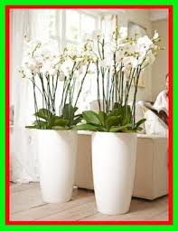 Pin Em Salon Halszka