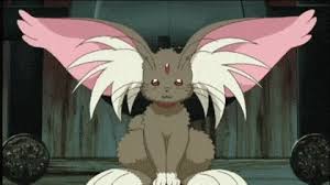Https Encrypted Tbn0 Gstatic Com Images Q Tbn And9gcs6sm5655 5nulxxgjrrvfksrmzk16ywmgglw Usqp Cau See what kohaku cabbit (kohakucabbit) has discovered on pinterest, the world's biggest collection of ideas. 2
