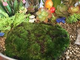 Check spelling or type a new query. How To Create A Stunning Realistic Fairy Garden With Artificial Plants