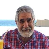 Russell Jay Apfel Obituary