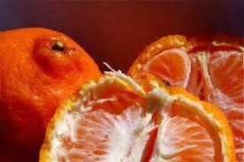 Kebiasaannya jika melawat kaum cina ketika tahun baru cina, mereka akan memberi ang pau dan buah limau. Tepung Hq Sedikit Perkongsian Tentang Limau Mandarin Bila Tiba Musim Perayaan Tahun Baru Cina Mungkin Kita Tidak Terlepas Daripada Memakan Buah Limau Mandarin Mungkin Dibeli Atau Diberi Secara Percuma Oleh