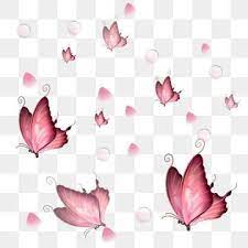 Float Butterfly Pink Flying All Over The In 2020 Butterfly Background Butterfly Watercolor Butterfly Illustration