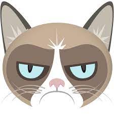 Grumpy Cat Meme Generator Amazon Com Appstore For Android