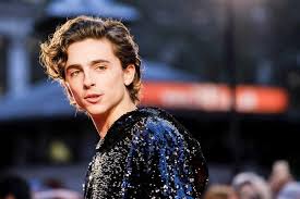 Information on this blog are copyright to their respectful owners. Timothee Chalamet 10 Best Films Ranked In Order Of Greatness