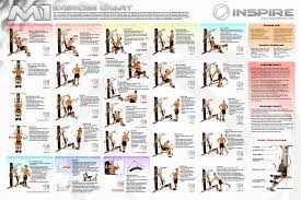 Total Gym Exercises Pdf Beautiful Workout Plans For Beginners At Home Fresh Weider Ultimate Body Workout Chart Gym Workout Chart Home Gym Exercises