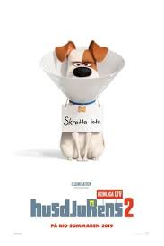 Best website to download all types of movies like 480p movies, 300mb movies, 720p movies, 1080p movies. Telecharger The Secret Life Of Pets 2 Streaming Fr Hd Gratuit Francais Complet Download Free English The Secret Life Of Pets 2 Movie Film 2 Tahun
