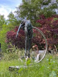 Observe the animals from a distance. The Lockdown Dog Walk Through Incredible Surrey Sculpture Park Surrey Live