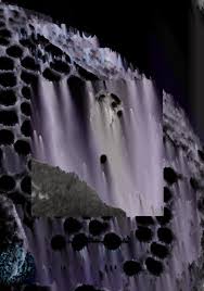 The Biological bulletin