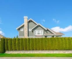 You're on the right track if you answer yes to the first three questions and very positively to the final two: Fast Growing Trees For Privacy By Zone Davey Blog