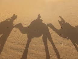 More hassle than it's worth. Hd Wallpaper Three Camel Shadow On Sand Morocco Sahara Erg Chebbi Desert Wallpaper Flare
