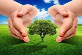 इस तरह लोगो में विश्व पर्यावरण दिवस के प्रति अलख जगाये. à¤ªà¤° à¤¯ à¤µà¤°à¤£ à¤ªà¤° à¤¨ à¤¬ à¤§ Essay On Environment In Hindi