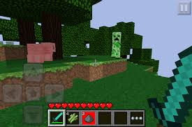 It is also used to color white wool. Minecraft Pocket Edition Special Center Or M C P E S C Ios Mcpe Discussion Minecraft Pocket Edition Minecraft Forum Minecraft Forum