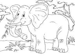 Read more referat elefant bilderzum ausmalen : Malvorlage Elefant Ausmalbild 23015 Elefant Ausmalbild Malvorlagen Tiere Malvorlagen