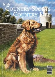 Irish Country Sports And Country Life Autumn 2018 By Bluegator Creative Issuu
