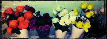 This business listing is provided by Vivian S Floral And Gifts Home Facebook