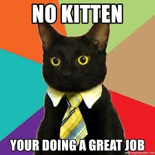 49 great job memes ranked in order of popularity and relevancy. No Kitten Your Doing A Great Job Business Cat Meme Generator