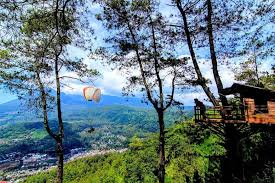 Omah Kayu Paralayang, Pesona Rumah Pohon di dalam Hutan