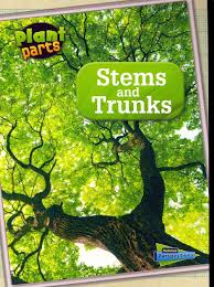 Stems Carry Out Vital Jobs For All Flowering Plants They Hold Plants Up And Carry Water And Food Around Each Plant T Parts Of A Plant Planting Flowers Plants
